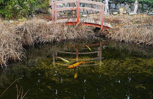 Wellness Apartments Sophienhöhe AM TEICH - Photo 22