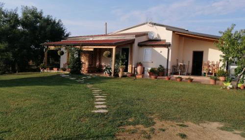 Casa vacanze Le mimose Colline di Tropea - Foto 1