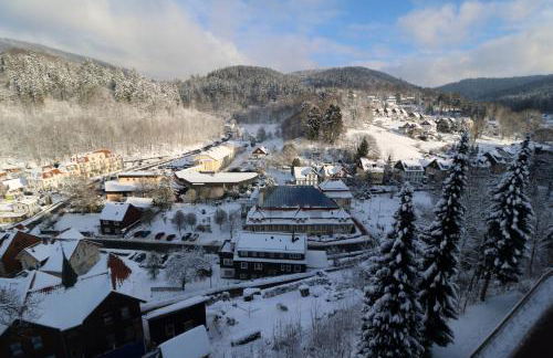 Ferien Penthouse Panoramablick oder Studio Panoramablick - Foto 59