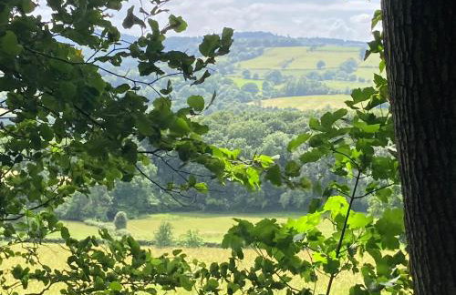 3 Guests - Pet Friendly - Grid Tree-House - Foto 8