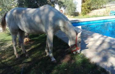 Casas Rurales La Loma Del Carrascal - Foto 8