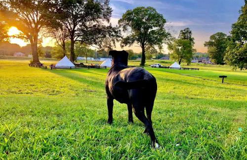 Charming Loft B&B with Private Bath & Country Breakfast near Old Hickory Lake – Gallatin, Tennessee - Foto 24