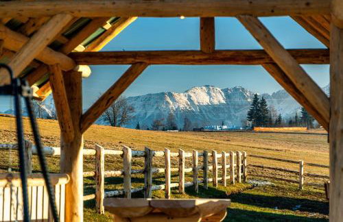 Domki-Przystanek Dzianisz - Foto 63