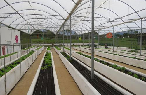 Recanto Dos Gansos - Foto 24