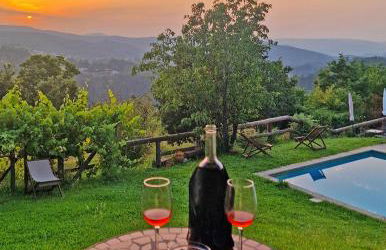 Cimo da Vinha - Nature Spot - Foto 22