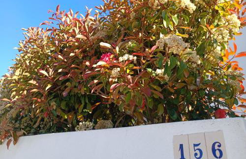 Casa da Ti Emília - Foto 2