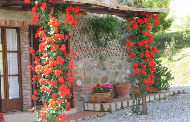 Verdidea - Podere Contignano - Photo 73