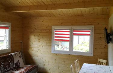 Agroturystyka Wilczyn Cegielnia - Foto 31