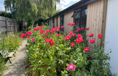 The Bearded Goat Den - A rural retreat at this modern holiday cottage - Foto 17