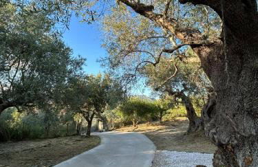 Κτημα Εριφυλλη - Foto 51