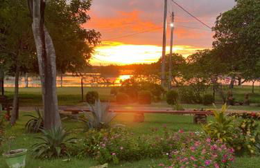 Fazenda Buritizal Grosso - Photo 6