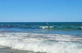 Casa Limon - Foto 44