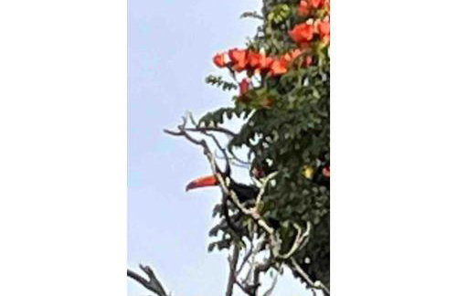 Grand Villela Home Stay - Espaço Inteiro - 32 pessoas - Lago Sul - Brasília-DF - Foto 77