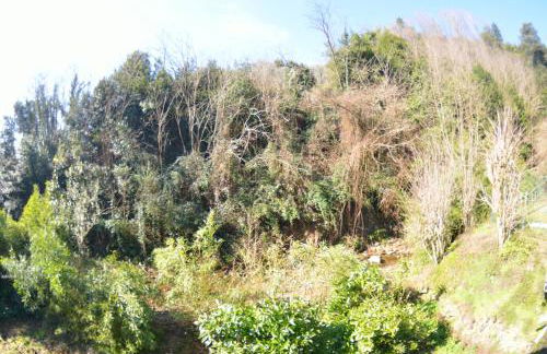 Casa Milena - Foto 27