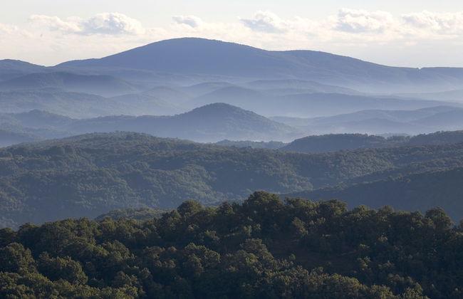 Red Hotel - Lozenetz - Foto 32