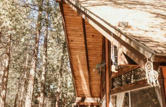 Cozy Sequoia Forest Cabin near Lake Isabella - Foto 22
