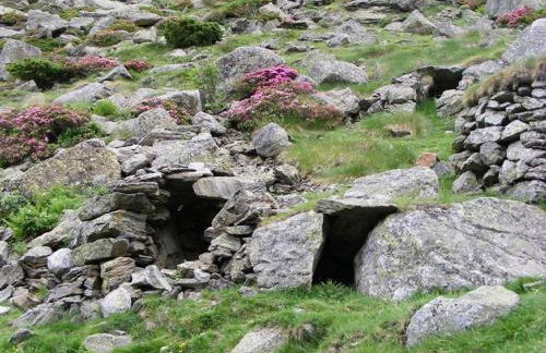 La BERGERONNETTE - Foto 27