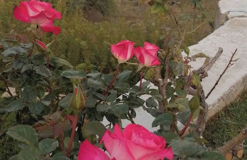 Cozy Apollon Villa, Sea View, Next To Galaxidi - Photo 25