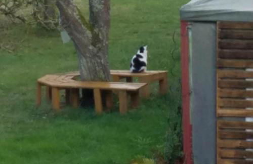 Sonnenhaus Oppenhausen - Foto 38