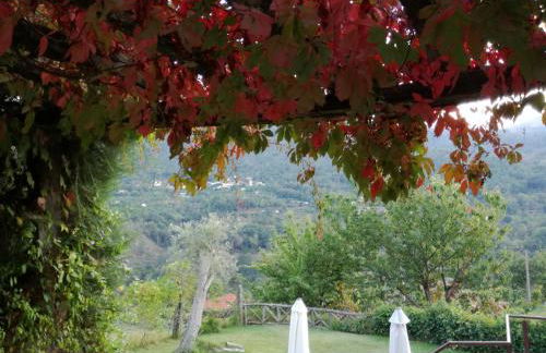 Casa do Moleiro - Foto 63