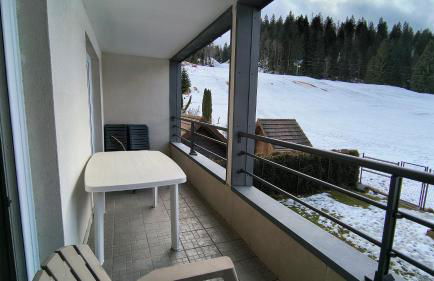 Le Repaire du Loup blanc - Foto 6