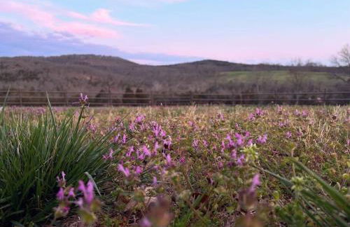 Peaceful Cabin-Breathtaking Views near Branson, MO - Foto 28