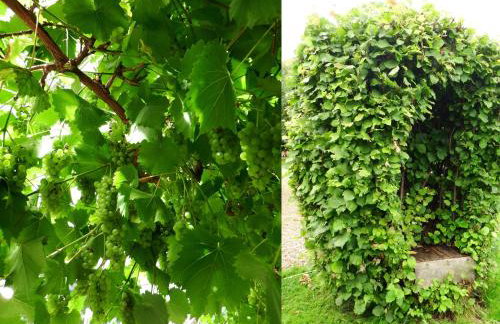 Kenilworth Garden Accomodation - Foto 16