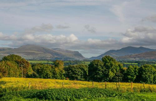 Tal Sarn Shepherd Hut - Foto 16