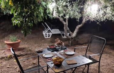 Podere Pruneto - Foto 6