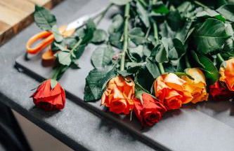 Chic 2-bed City Apartment -Old Street - Foto 25