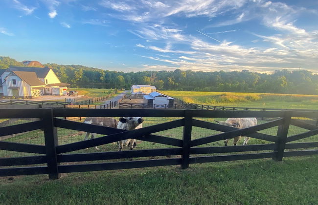 Circle T Mini Farms - Foto 20