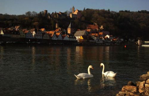 Romantisches Hirschhorn am Neckar - Photo 31