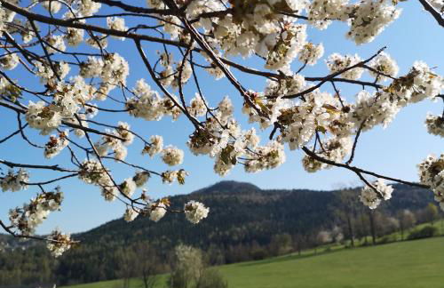 Ferienhaus Waltersdorf - Foto 17