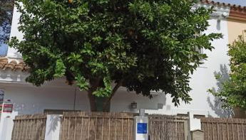 Nao Victoria - Foto 3