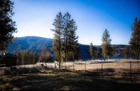 Cozy Cabin with Coeur d'Alene Lake views - Foto 28