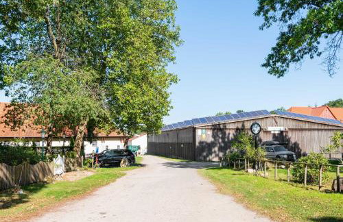 Blockhauser auf Reiterhof in Eschede - Foto 148