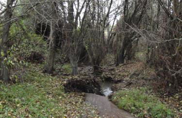 Casa Rural Sierra San Mamede - Foto 57