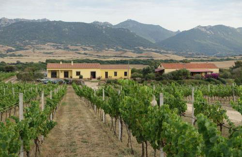 Agriturismo Campesi casale tra le vigne - Photo 37