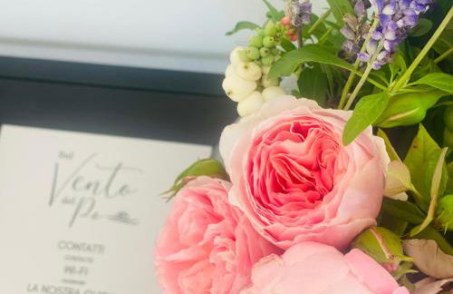 Sul VenTo del Po - Foto 73