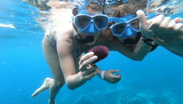 Una pareja haciendo snorkel