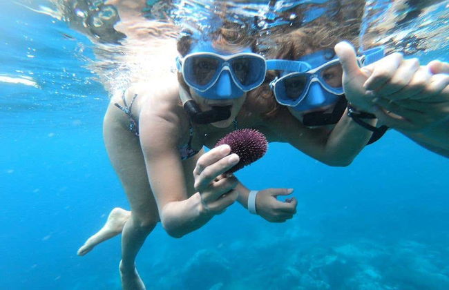 Snorkel na Costa Adeje - Foto 1