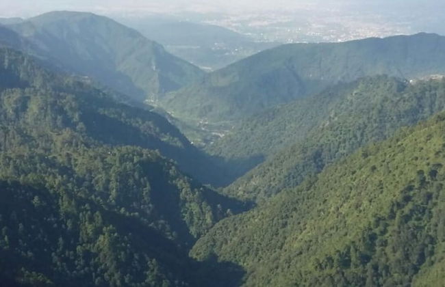 Veenu's Cottage - Foto 58