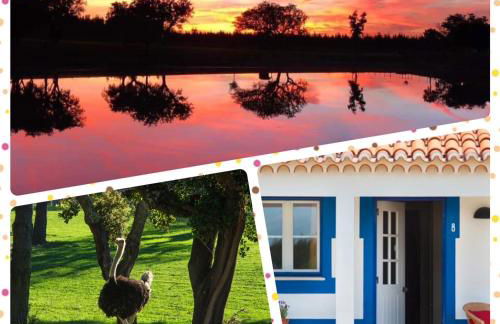 Monte do Lago, Pegões - Foto 5