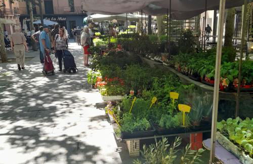 Mas Puig De Baix with private Pool and gardens - Foto 57