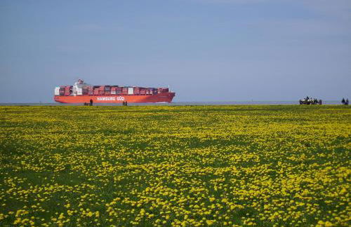 Villa Ludwig Fewo - Foto 16