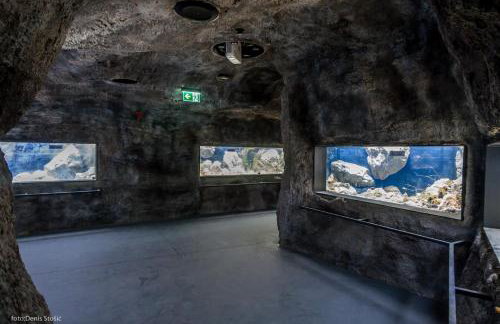 Albert Home - Foto 42