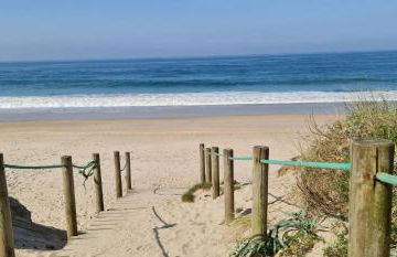 Moradia Pinheiro Manso - Foto 36