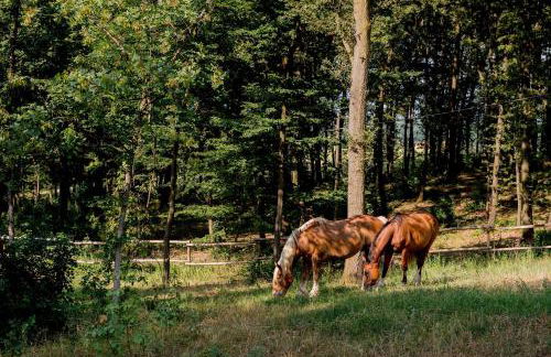 Agriturismo Il Colle del Falco - Photo 35