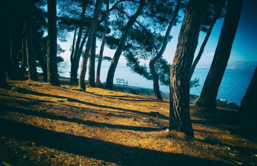 Apartments Katarina Porat - Foto 61