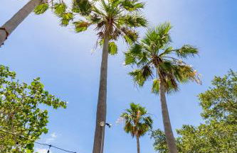 The Artful Nook - Foto 46